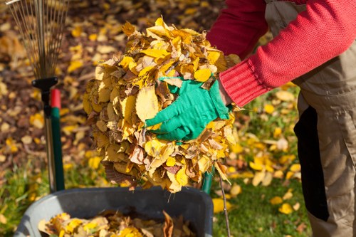 Organized house clearance process in Plaistow